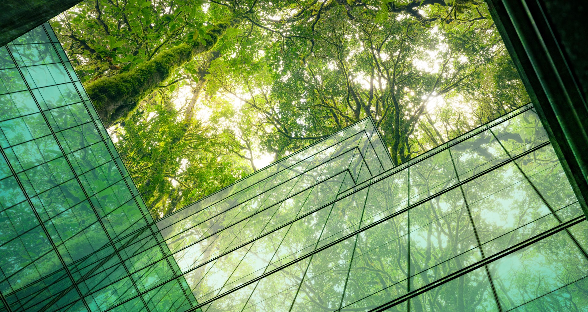 A modern glass building flooded with dappled sunlight and reflecting deep green from a massive oak tree