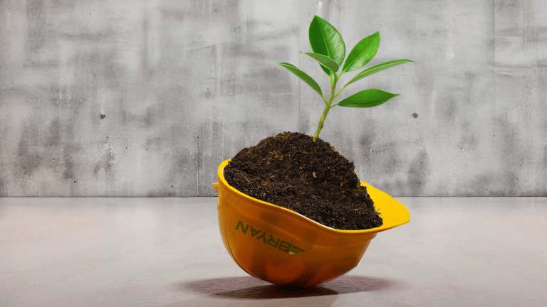 A yellow Bryan Construction Hard Hat upside down, with a plant growing from it